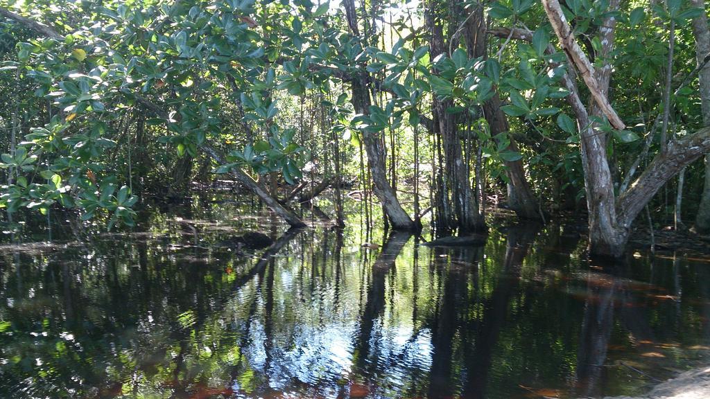 Casa Verde, Cahuita Dış mekan fotoğraf