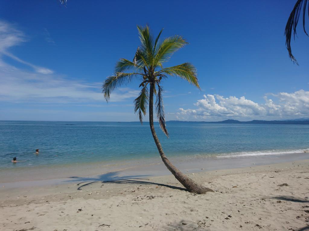 Casa Verde, Cahuita Dış mekan fotoğraf
